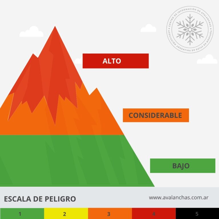 WhatsApp Image 2021-08-17 at 09.36.57